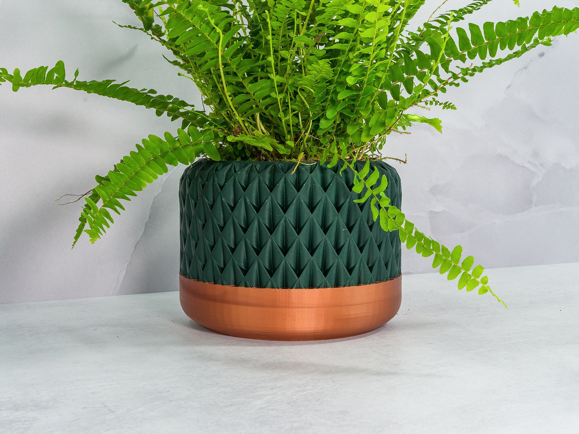 Angled with Fern: