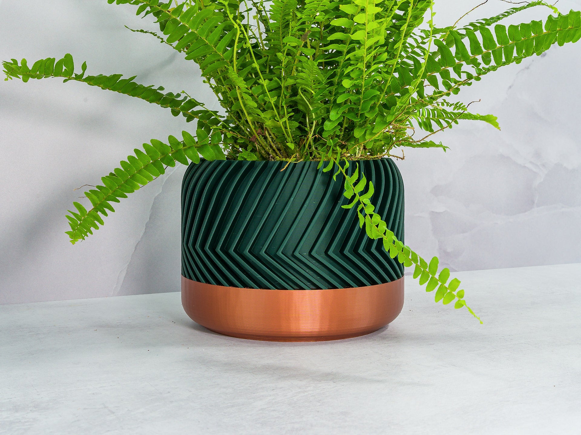 Angled with Fern: "Angled view of TREAD planter with copper base and forest pattern, showcasing a fern plant."
 Angled with Fern: "Angled view of TREAD planter with copper base and forest pattern, showcasing a fern plant."