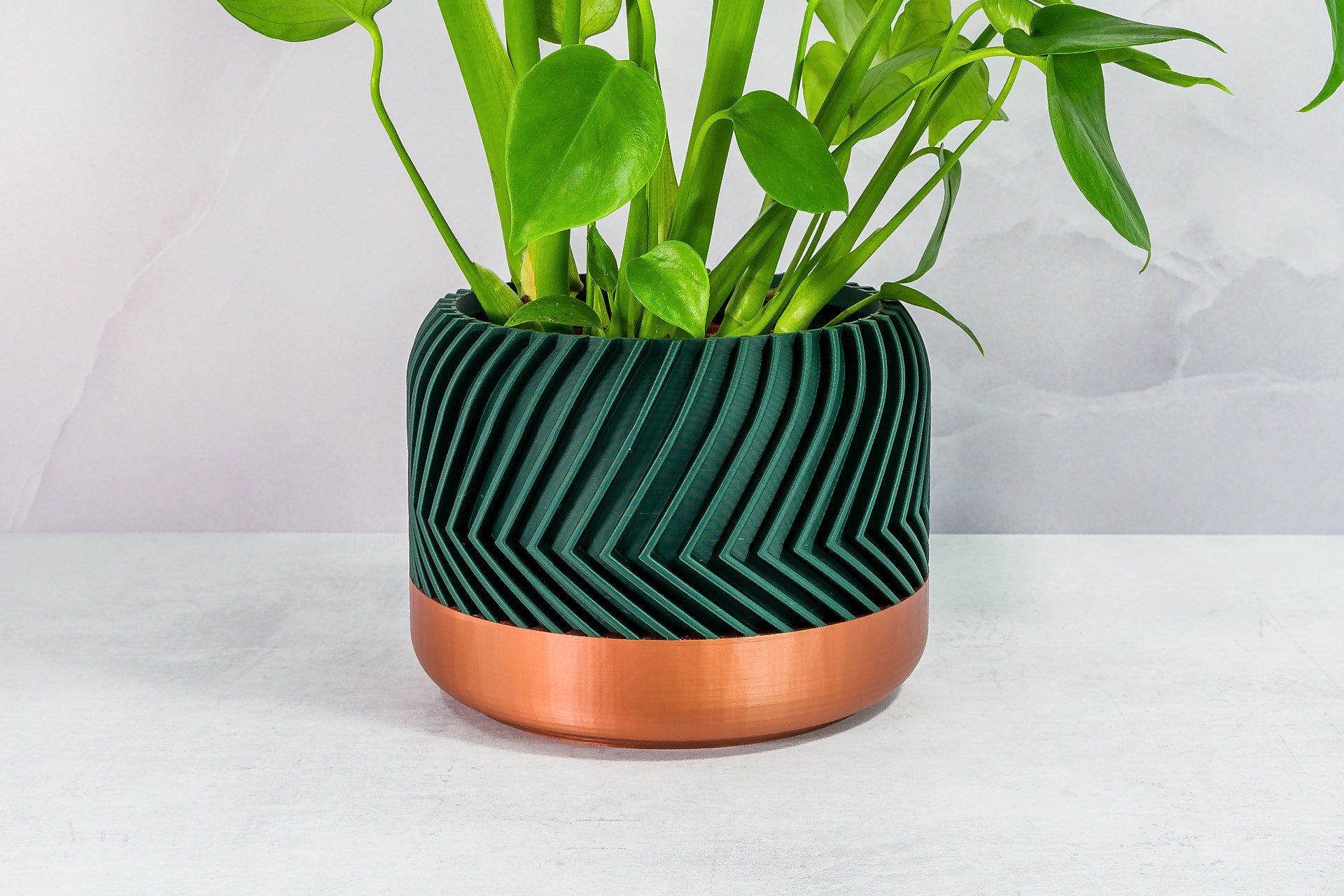 Zoomed In with Monstera: "Close-up of TREAD planter with copper base and forest pattern, featuring a monstera plant."
 Zoomed In with Monstera: "Close-up of TREAD planter with copper base and forest pattern, featuring a monstera plant."