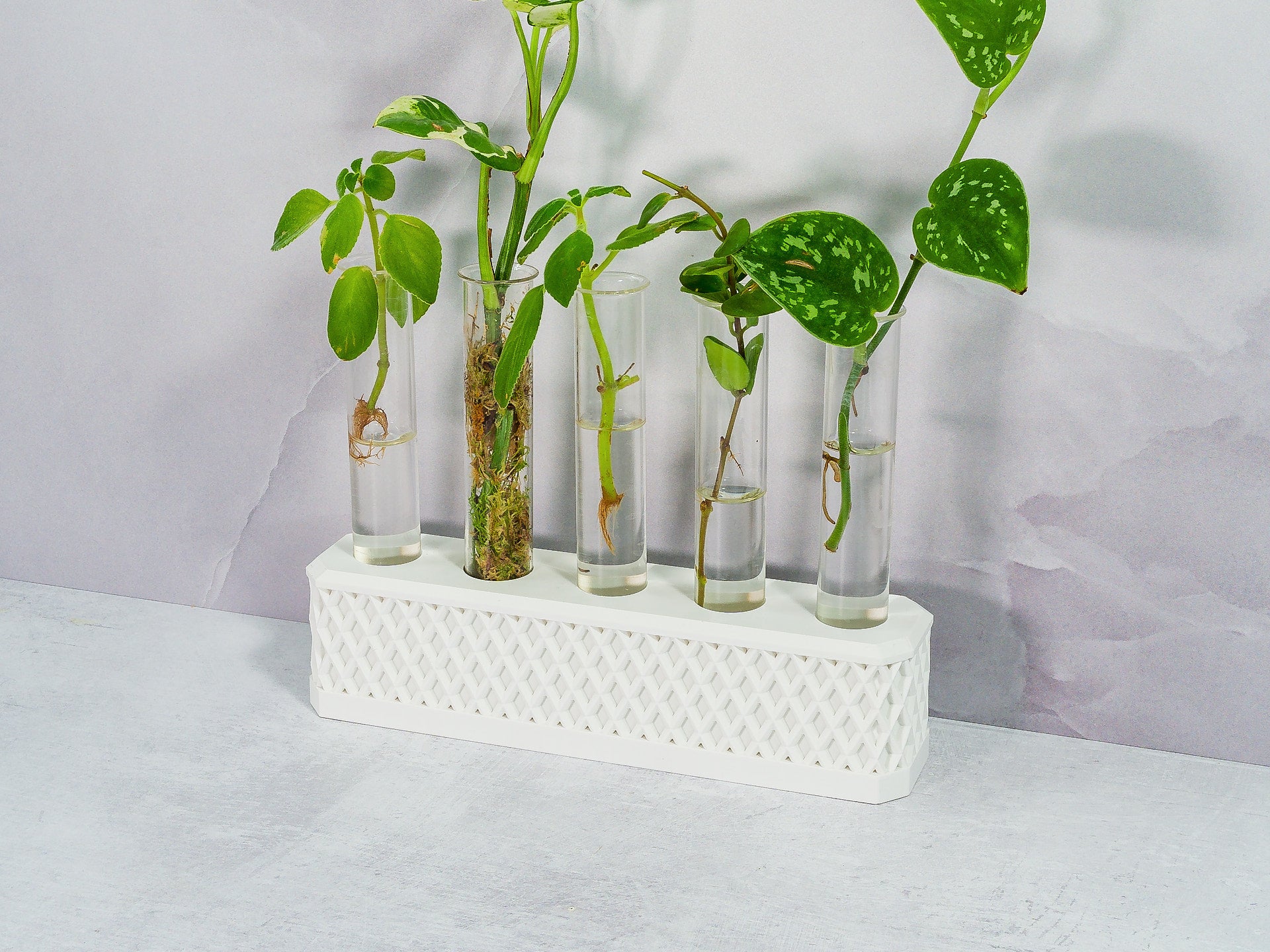 "Angled view of MATTE WHITE Propagation Station showcasing a collection of plant cuttings in water-filled tubes."
