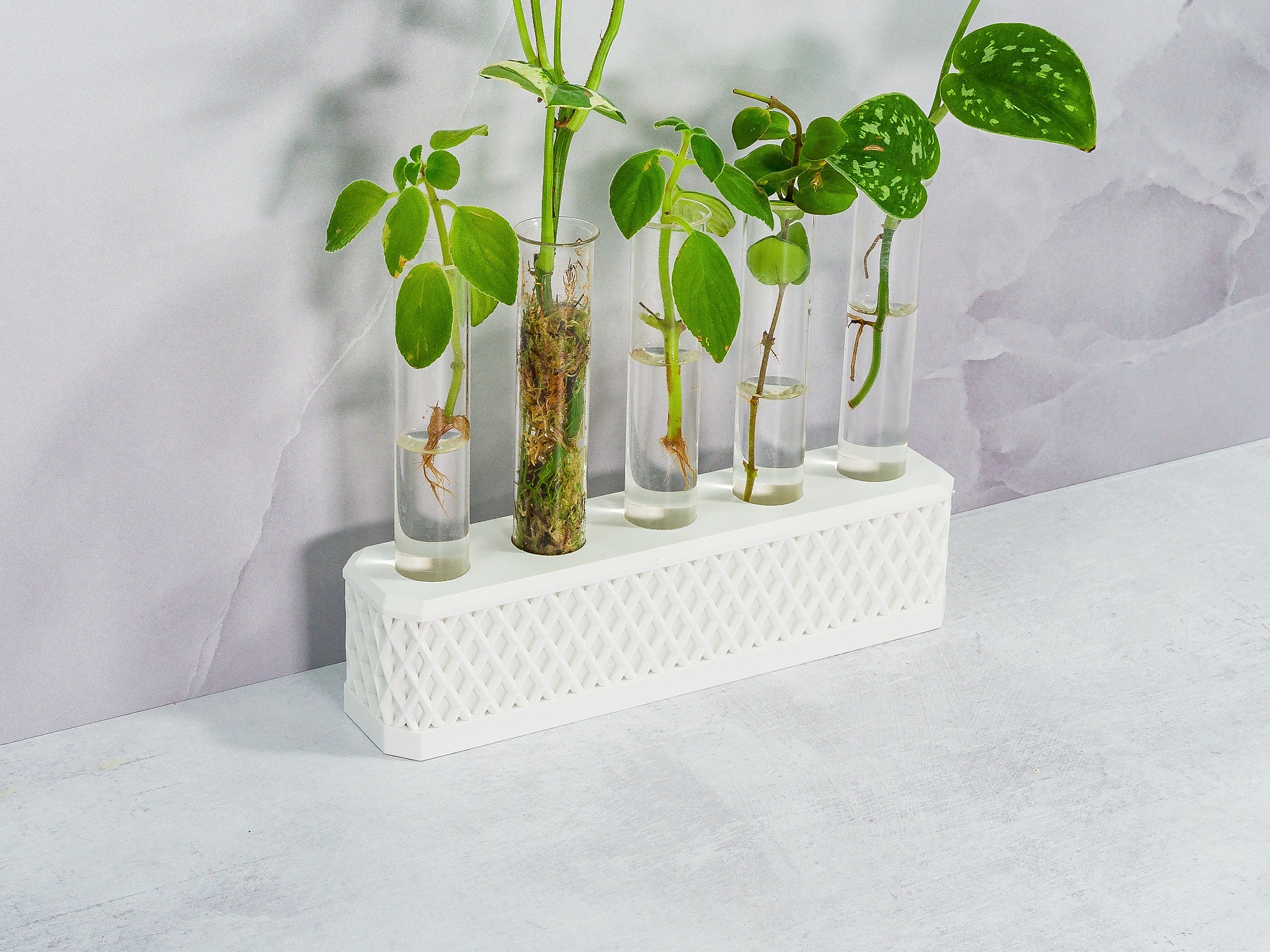 "Close-up angled shot of MATTE WHITE Propagation Station with diverse plant cuttings, emphasizing its clean, contemporary design."
